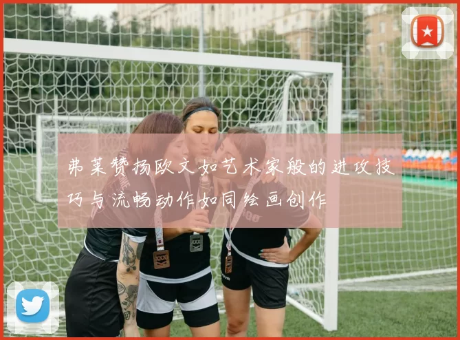 弗莱赞扬欧文如艺术家般的进攻技巧与流畅动作如同绘画创作